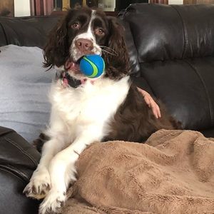 Meet your Posher, Carol